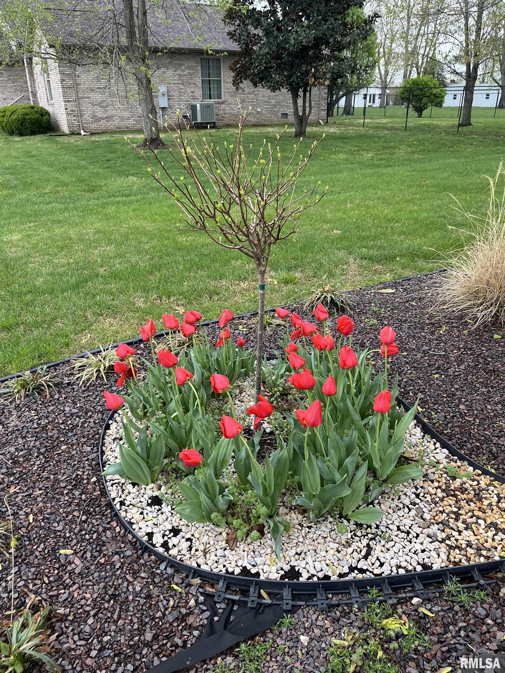 202 Dinah Lane Marion, IL 62959 - Photo 41 of 48