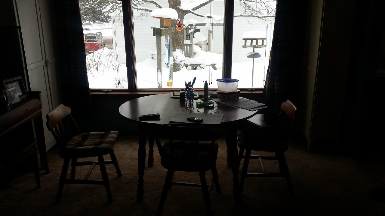 14546 Nine Mile Road Kaleva, MI 49645 - Photo 9 of 25 1810928-8.JPG
