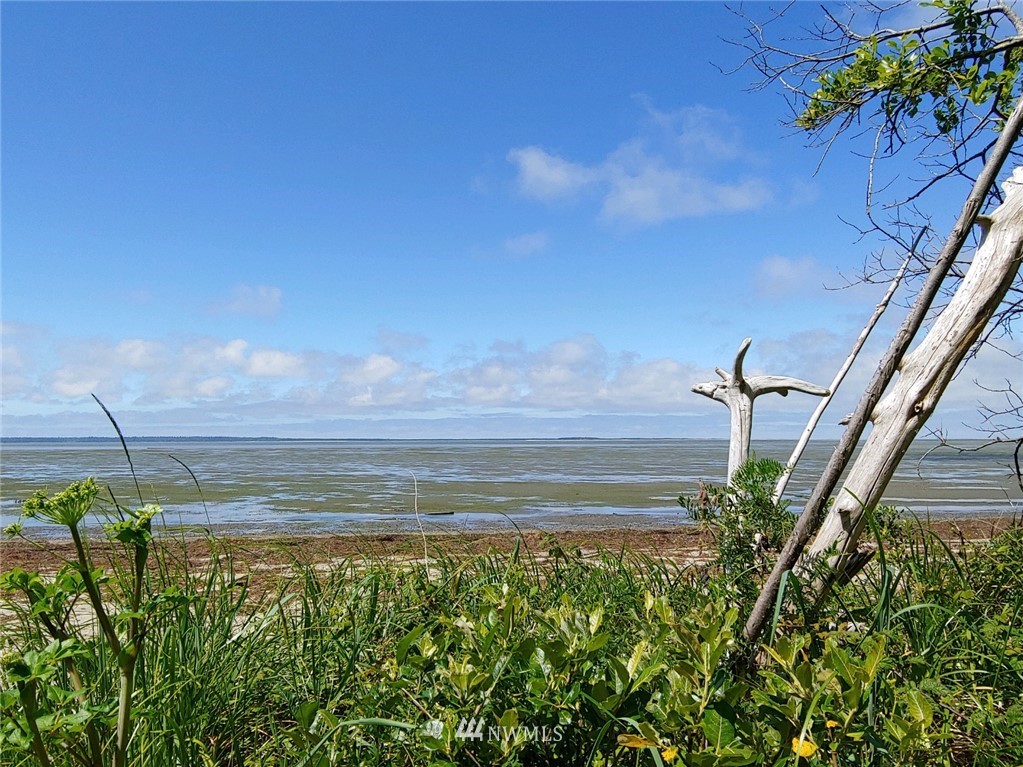 59 Ranta Road Bay Center, WA 98586 - Photo 37 of 39 Gallery Image 37