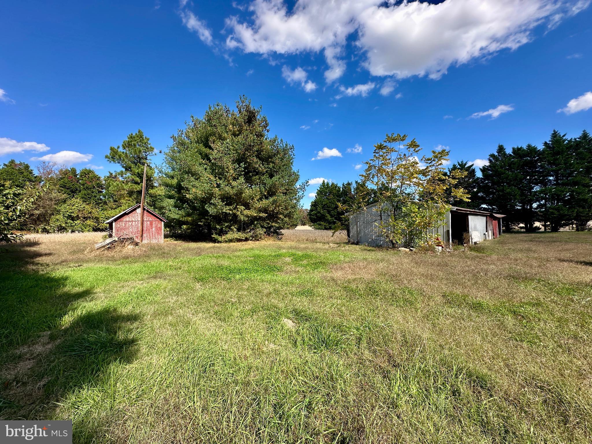 459 Killens Pond Road Harrington, DE 19952 - Photo 3 of 11 a view of outdoor space yard and entertaining space
