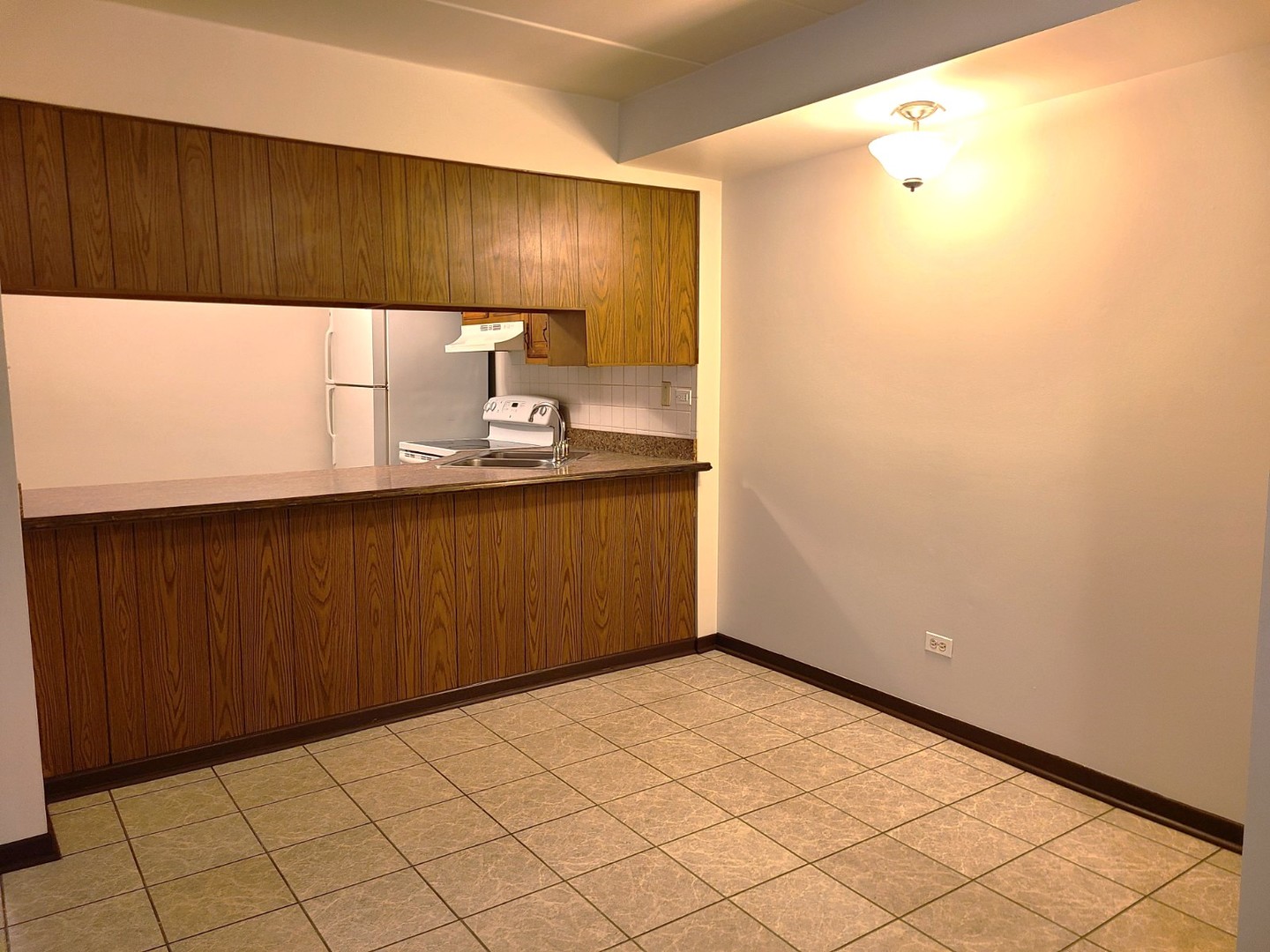 9117 South Roberts Road, Unit 8A Hickory Hills, IL 60457 - Photo 7 of 16 a kitchen with a sink and cabinets