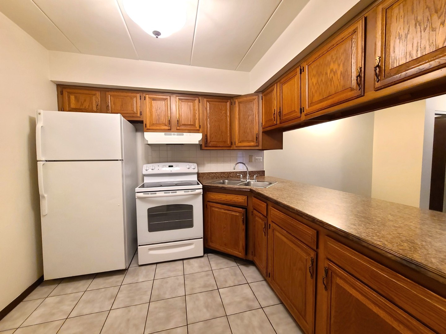 9117 South Roberts Road, Unit 8A Hickory Hills, IL 60457 - Photo 8 of 16 a kitchen with a refrigerator sink and cabinets
