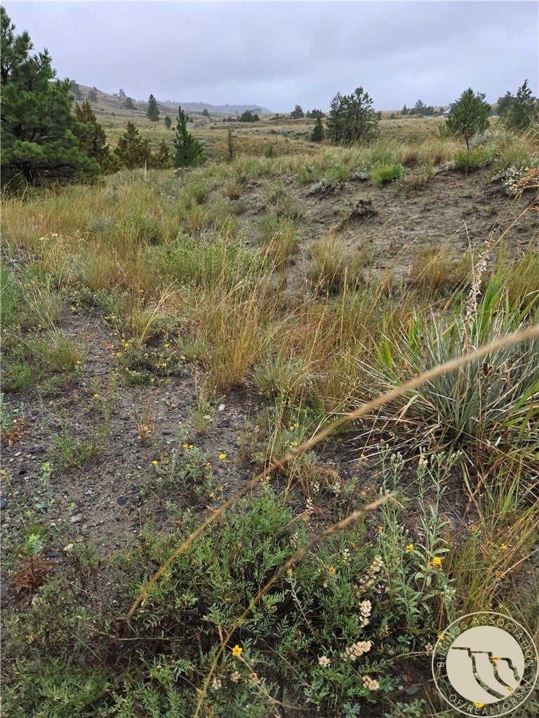 16 Mountain View Road Molt, MT 59057 - Photo 19 of 19 Gallery Image 19