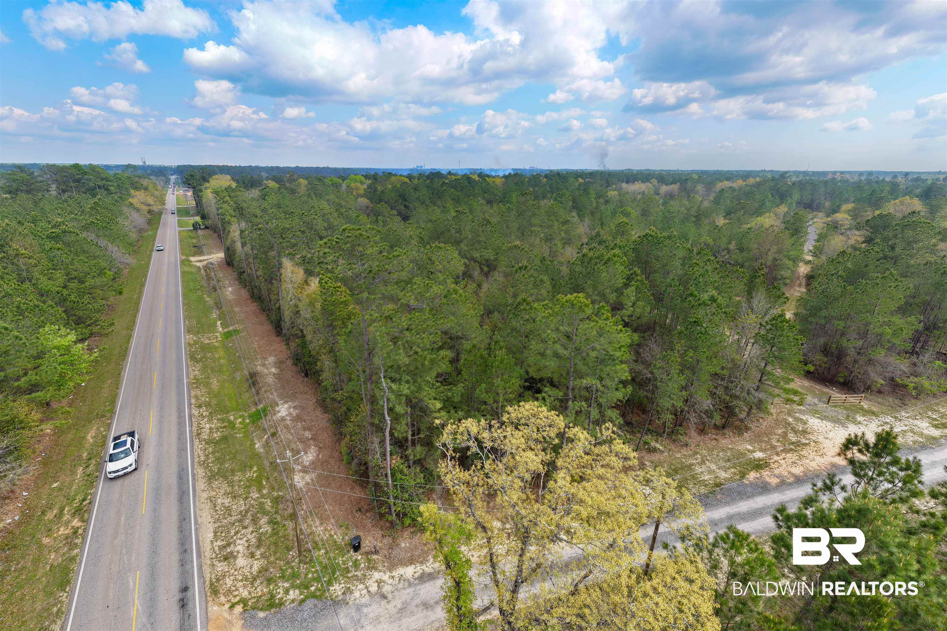 0 Salco Road Axis, AL 36505 - Photo 3 of 24 Bird's eye view of a forest