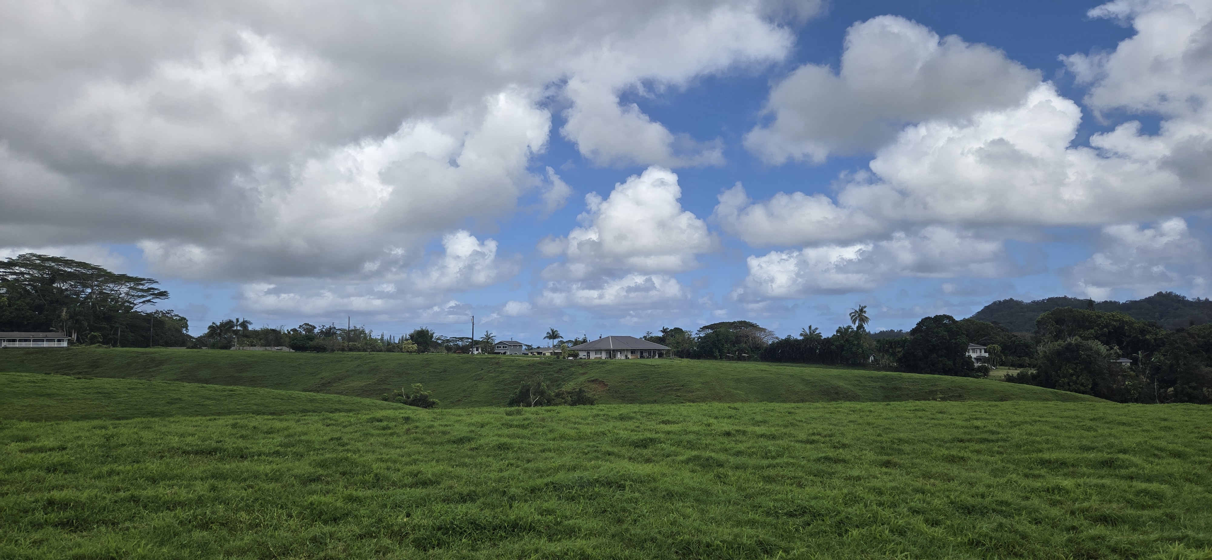 Lot 159-a-3 Lot 159-a-3 Kipapa Road Kapaa, HI 96746 - Photo 11 of 13 a view of a big yard