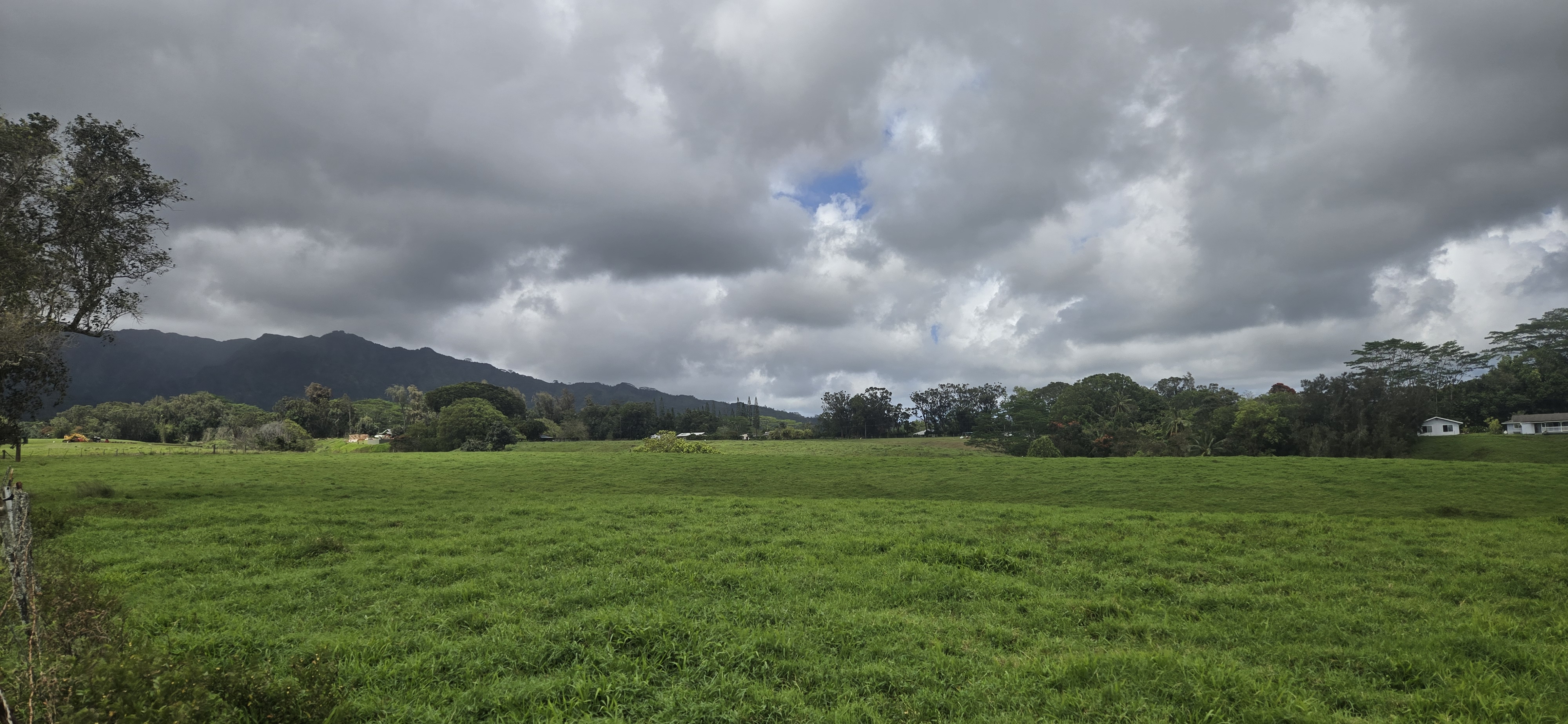 Lot 159-a-3 Lot 159-a-3 Kipapa Road Kapaa, HI 96746 - Photo 12 of 13 a view of grassy field with trees in the background