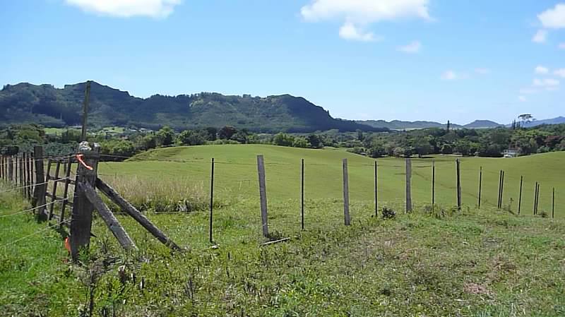 Lot 159-a-3 Lot 159-a-3 Kipapa Road Kapaa, HI 96746 - Photo 2 of 13 a view of a lush green field with a tree in the background