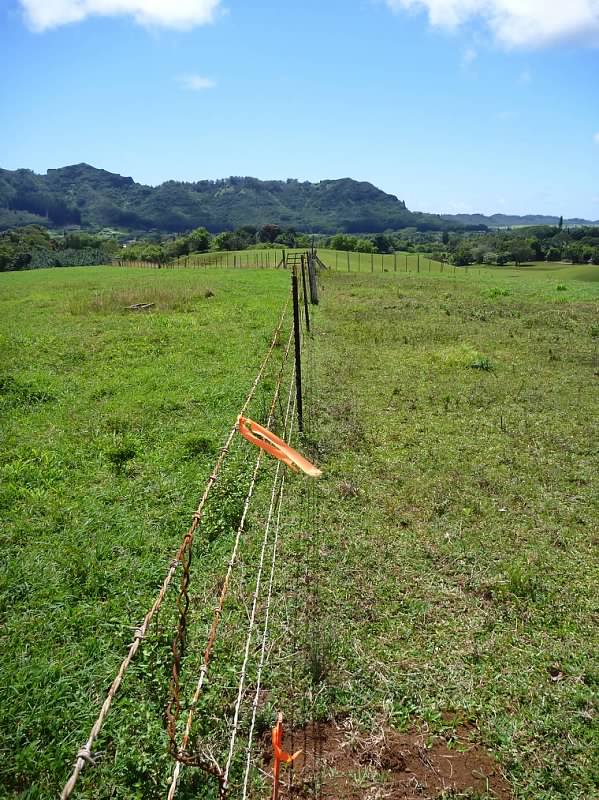 Lot 159-a-3 Lot 159-a-3 Kipapa Road Kapaa, HI 96746 - Photo 3 of 13 a view of a lake from a yard