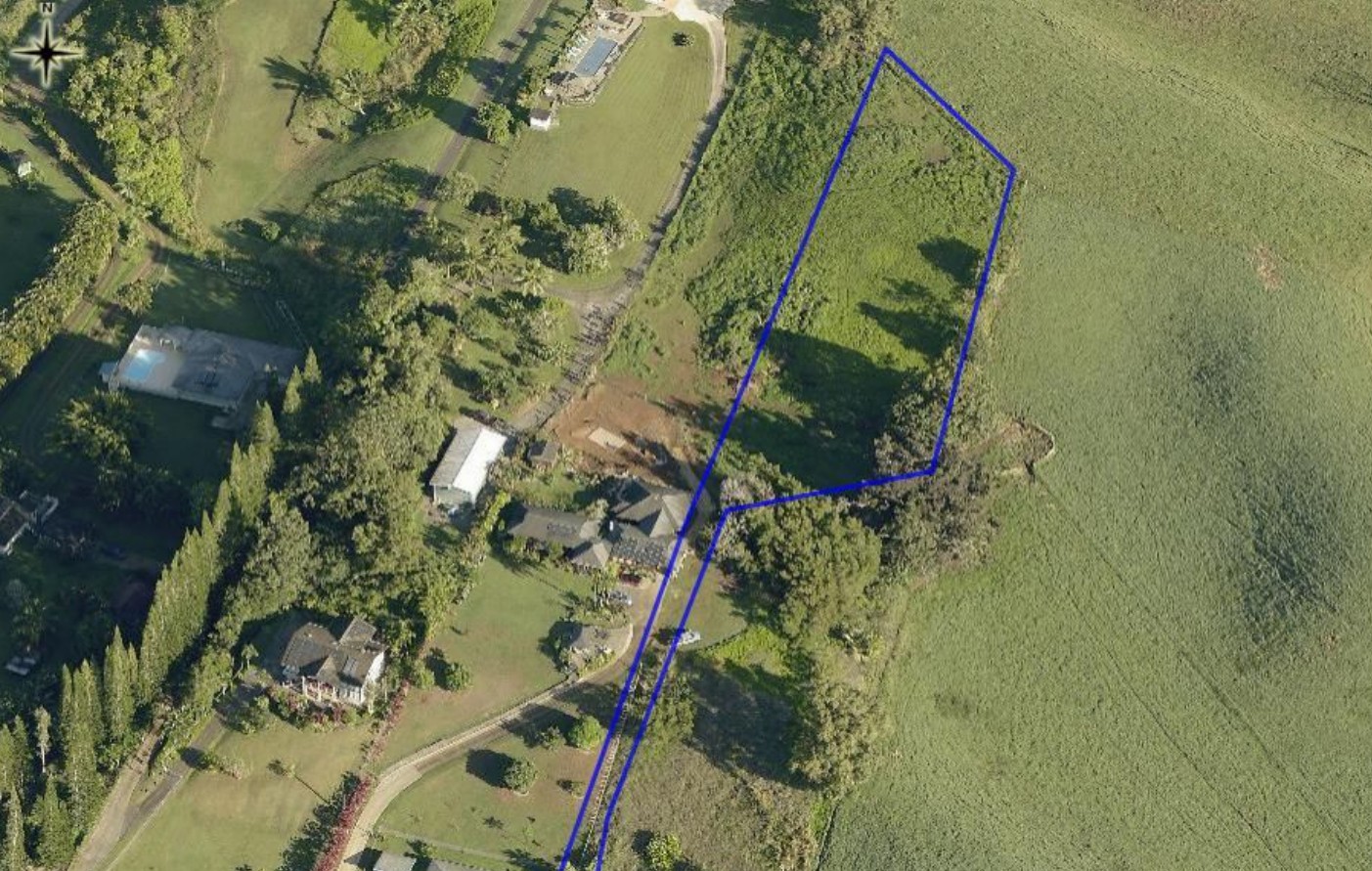 Lot 159-a-3 Lot 159-a-3 Kipapa Road Kapaa, HI 96746 - Photo 4 of 13 a view of a plant