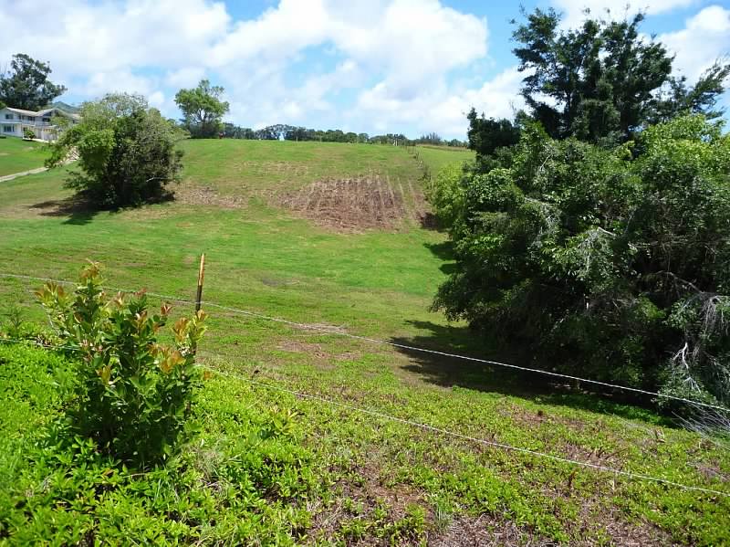 Lot 159-a-3 Lot 159-a-3 Kipapa Road Kapaa, HI 96746 - Photo 5 of 13 a view of a garden with an outdoor space