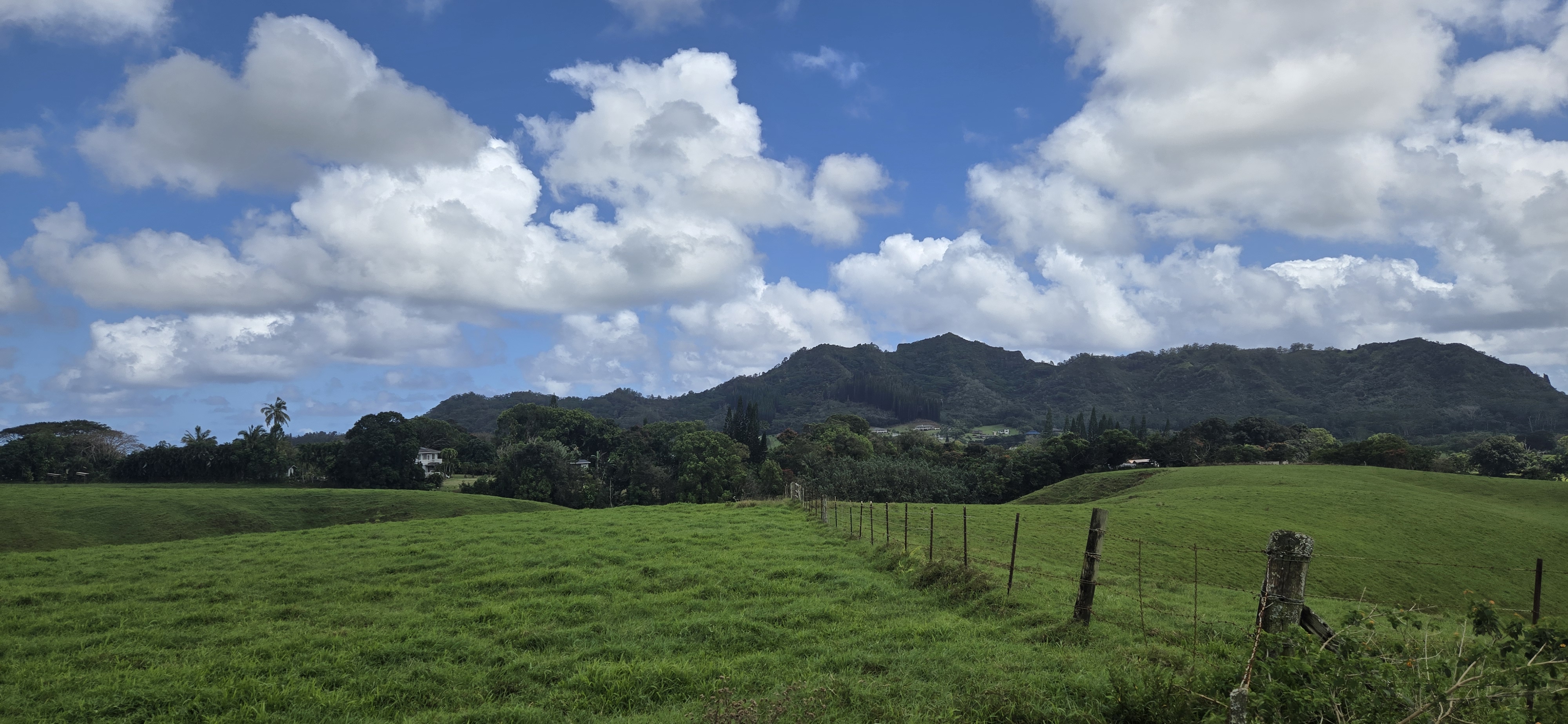 Lot 159-a-3 Lot 159-a-3 Kipapa Road Kapaa, HI 96746 - Photo 9 of 13 a view of grassy field with mountain