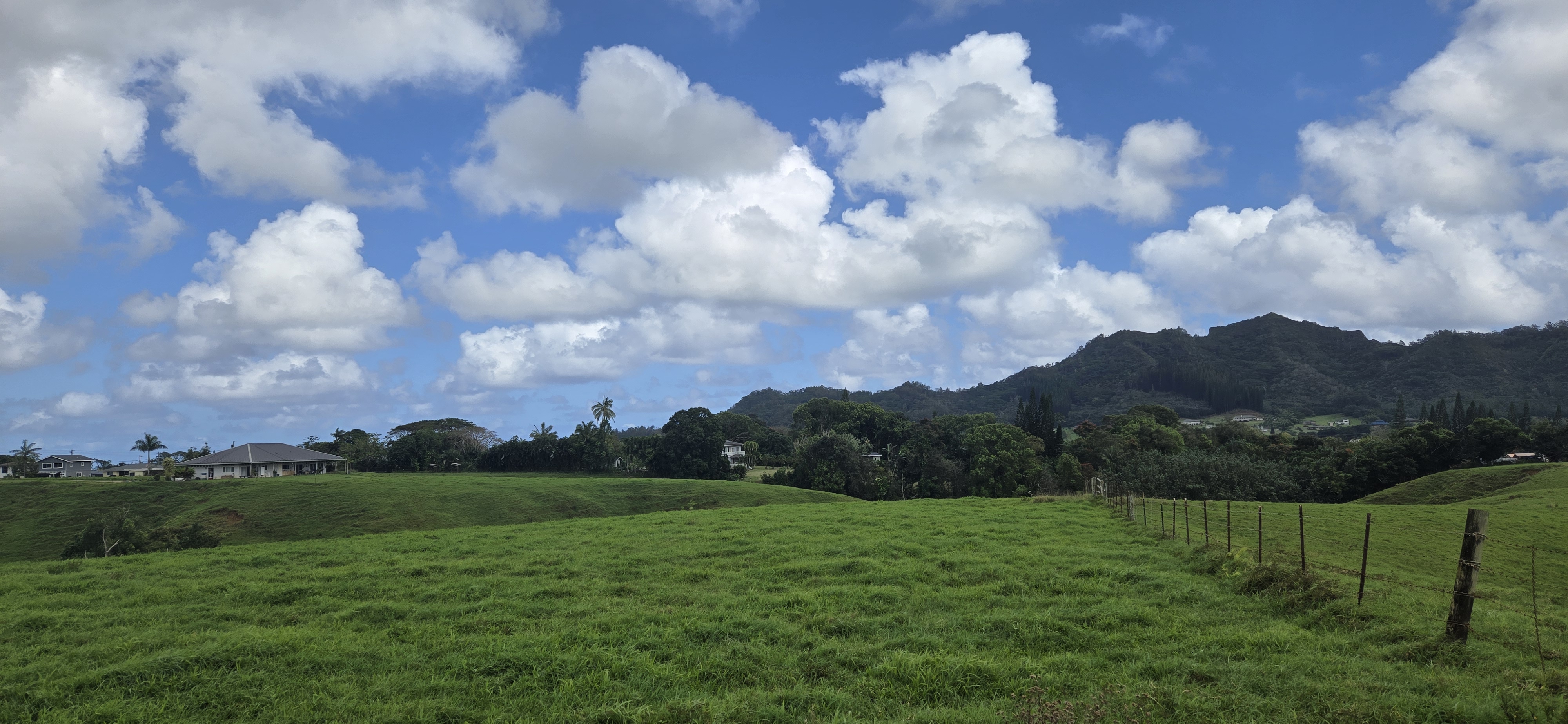 Lot 159-a-3 Lot 159-a-3 Kipapa Road Kapaa, HI 96746 - Photo 10 of 13 a view of a grassy field with trees in the background