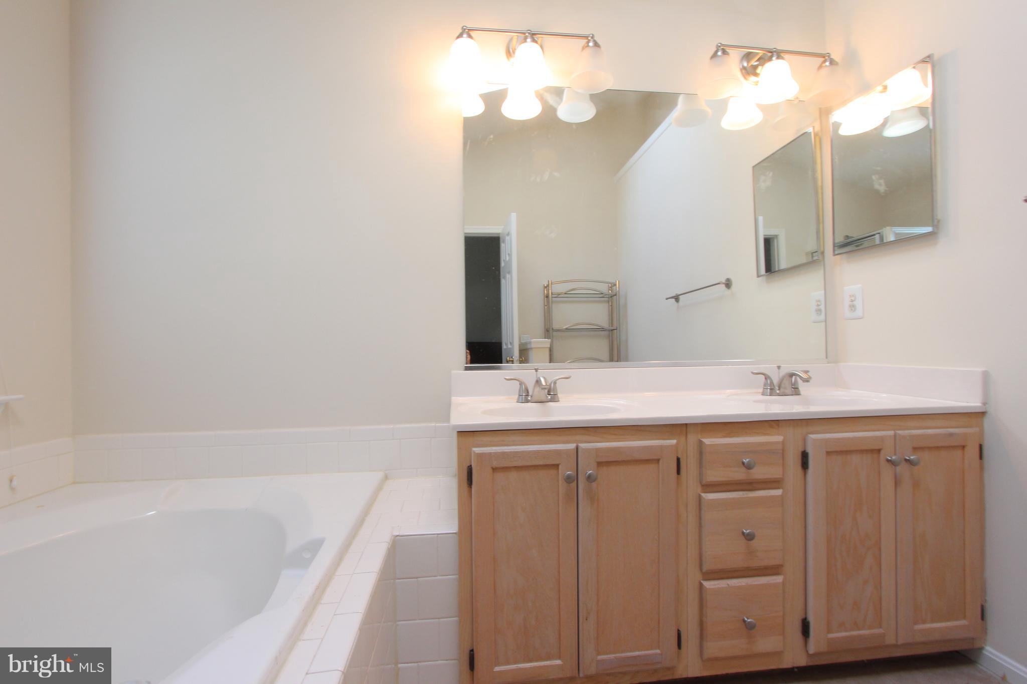 20784 Dockside Terrace Sterling, VA 20165 - Photo 14 of 22 Bath (Master)