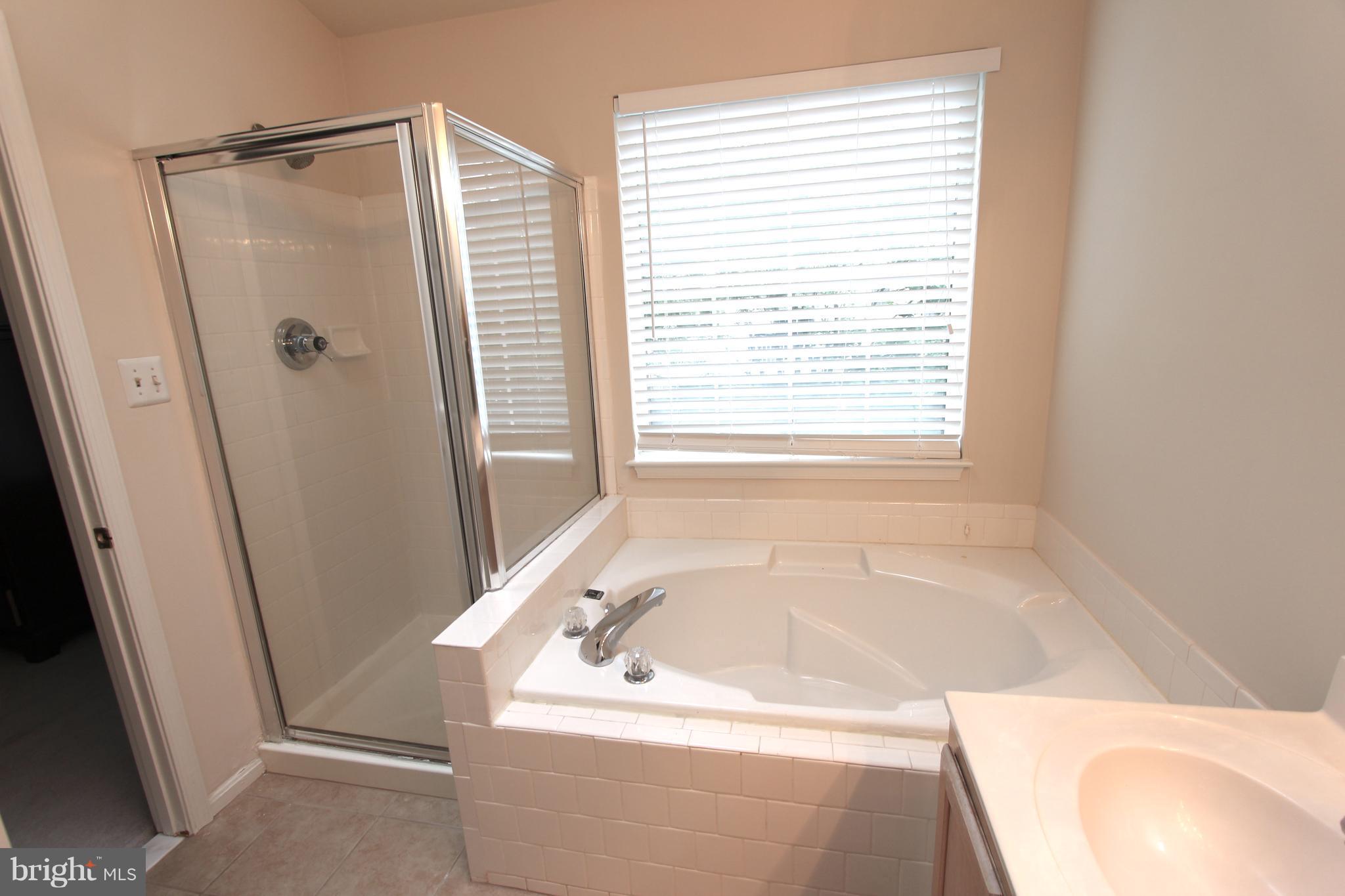 20784 Dockside Terrace Sterling, VA 20165 - Photo 15 of 22 Bath (Master)