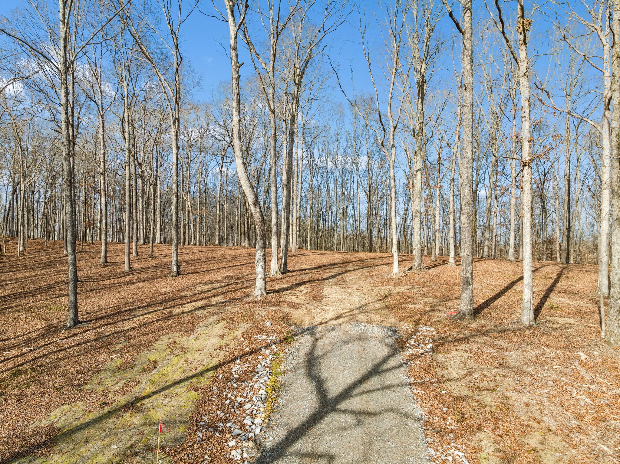 a view of outdoor space with wooden fence