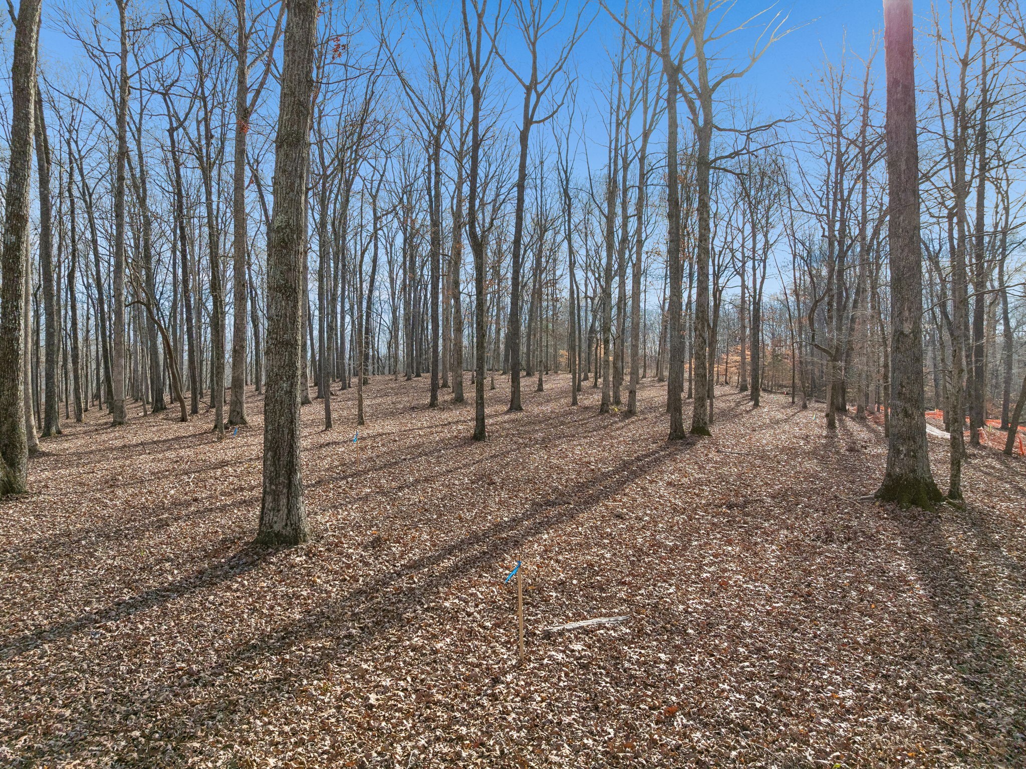 2 Peach Hollow Road Franklin, TN 37064 - Photo 19 of 29 a view of outdoor space with wooden fence