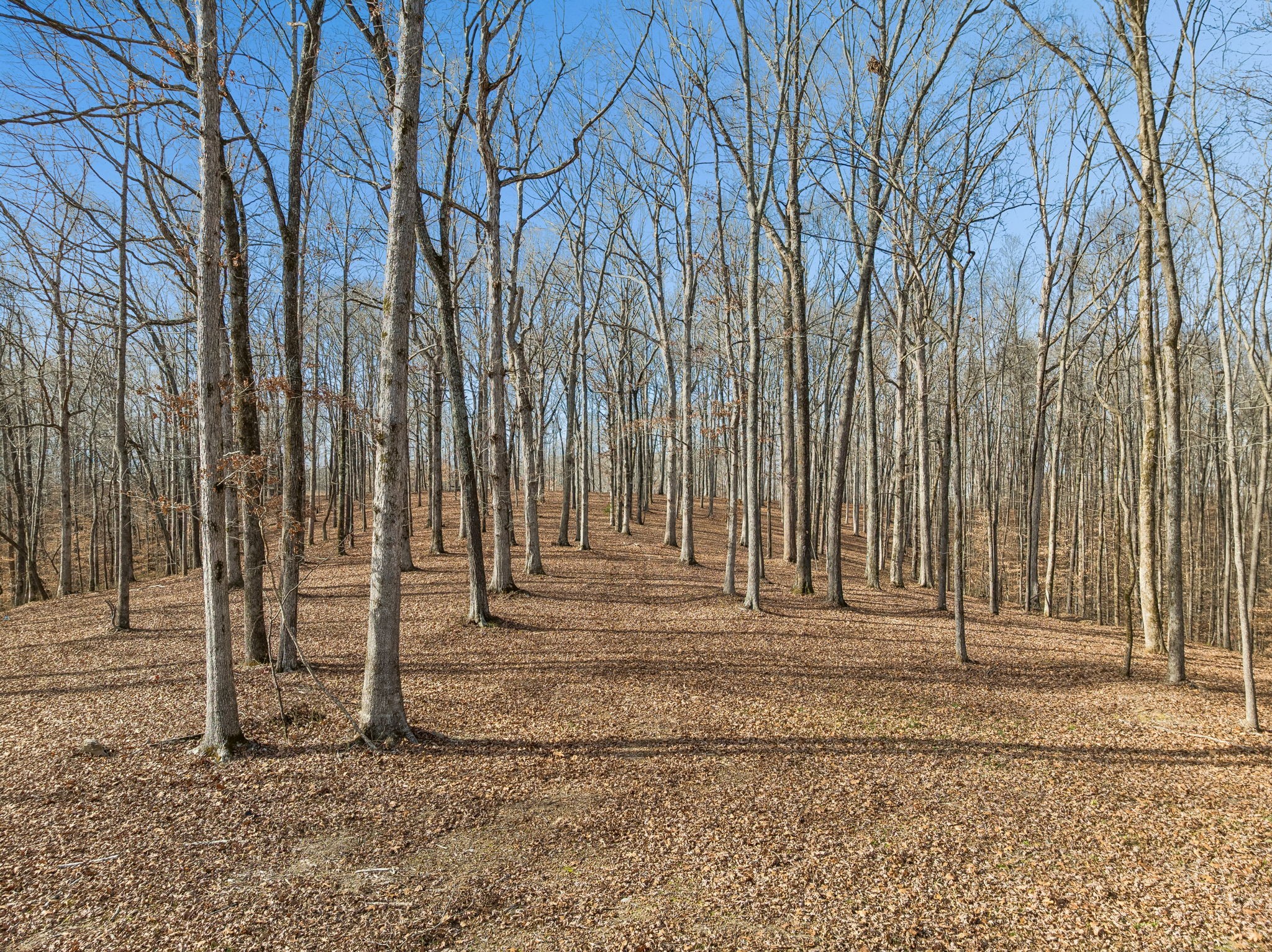 2 Peach Hollow Road Franklin, TN 37064 - Photo 2 of 29 a view of a entrance gate