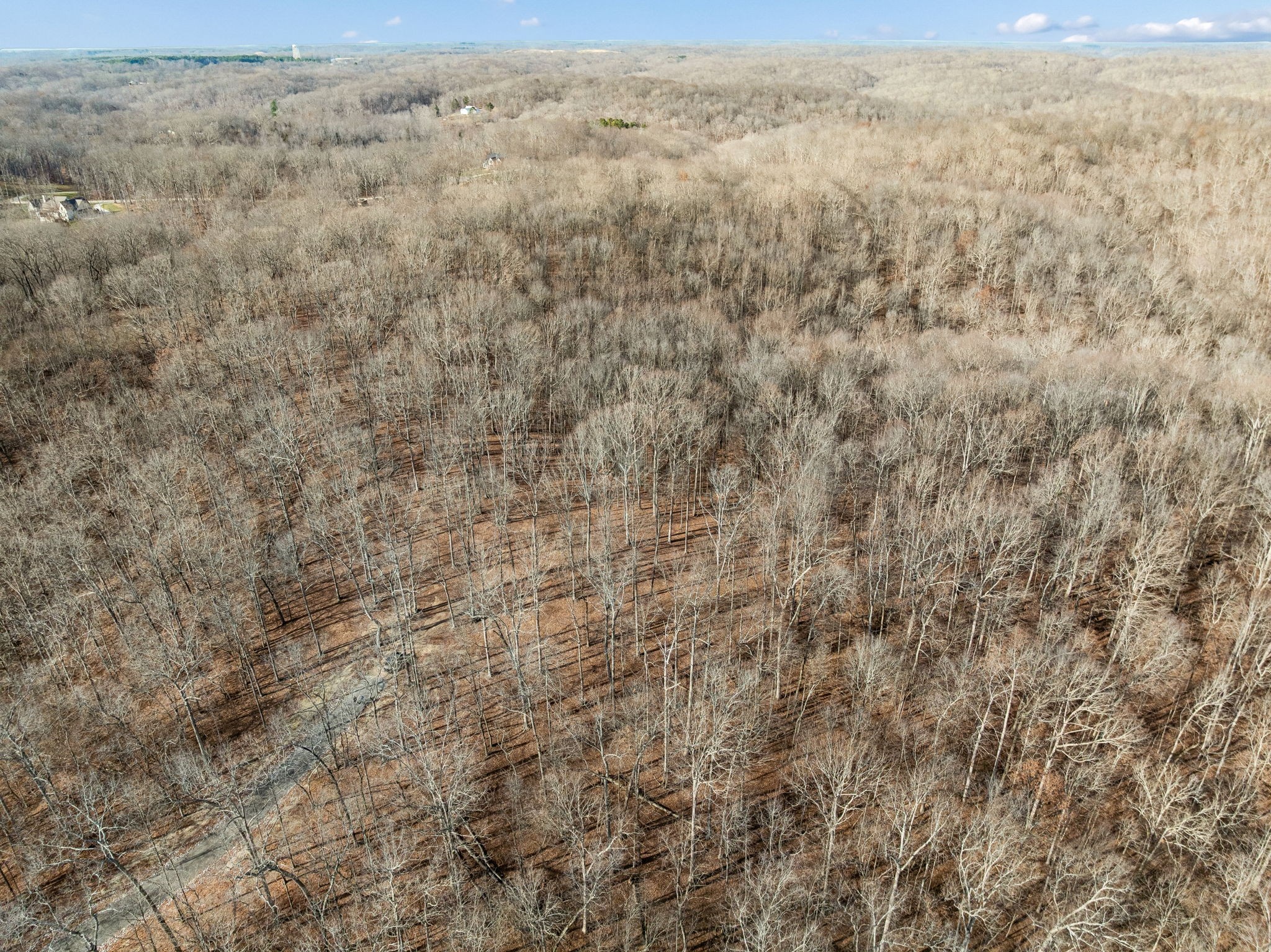 2 Peach Hollow Road Franklin, TN 37064 - Photo 22 of 29 a view of a field