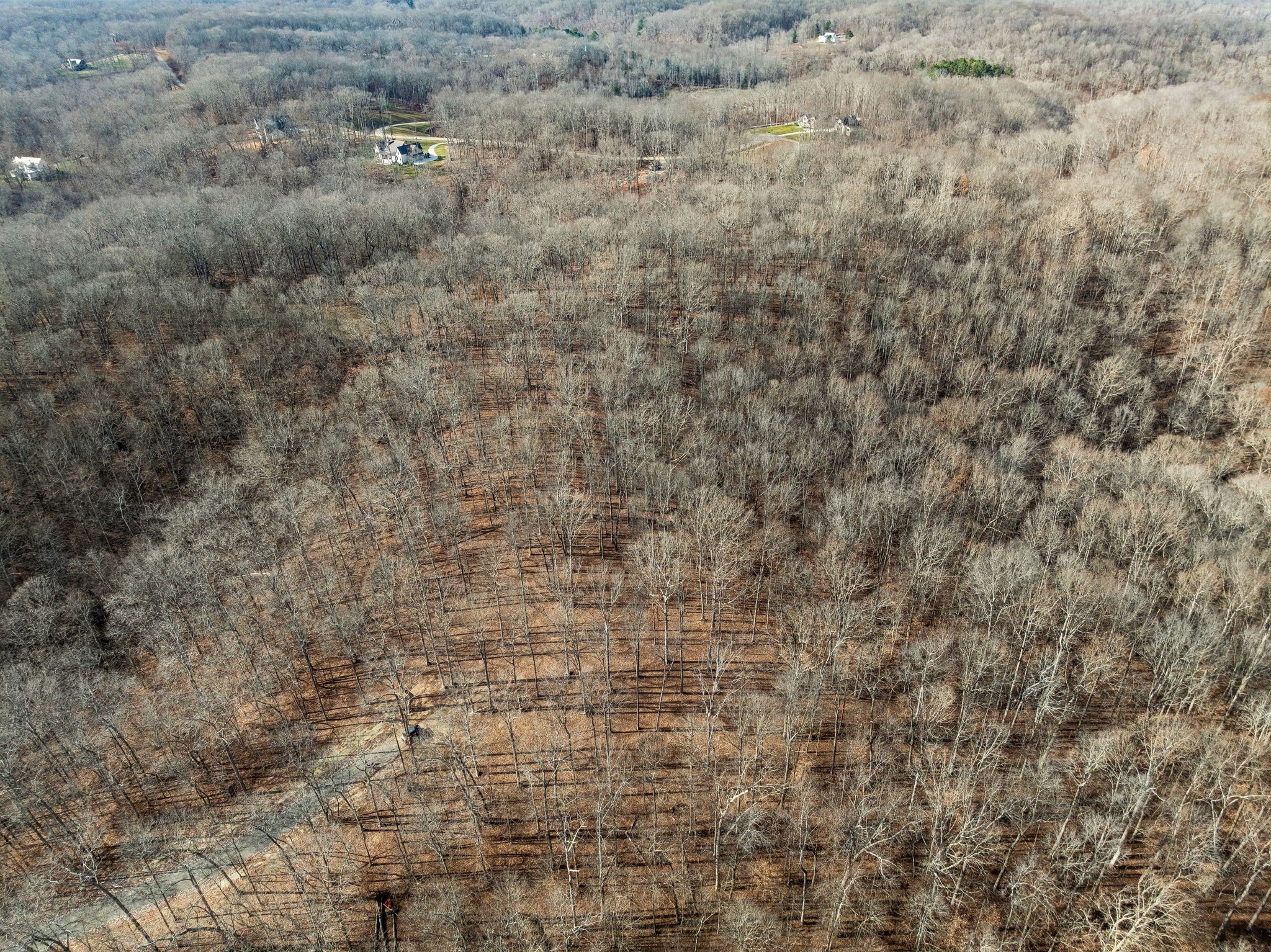 2 Peach Hollow Road Franklin, TN 37064 - Photo 23 of 29 a view of a dry yard