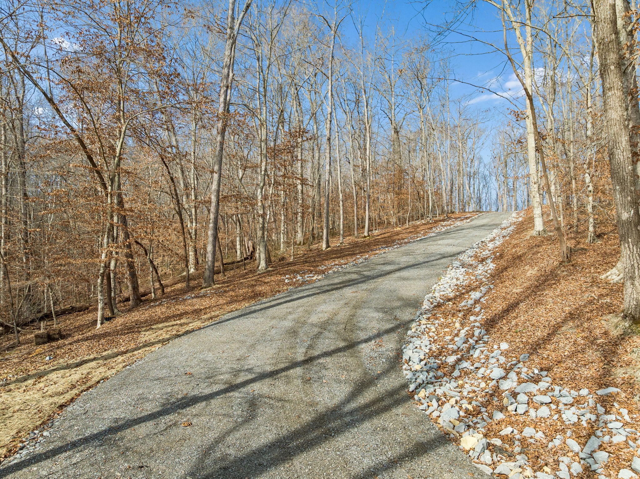 2 Peach Hollow Road Franklin, TN 37064 - Photo 7 of 29 a view of a backyard of the house