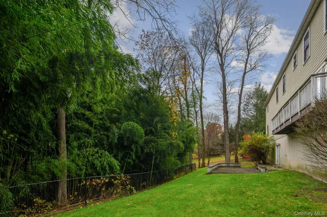 a view of a yard with plants and large trees