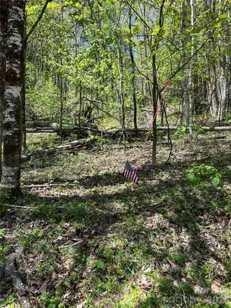 $14,500 | Lot#34 Buckeye Creek Road, Unit 34, Elk Park, NC 28622