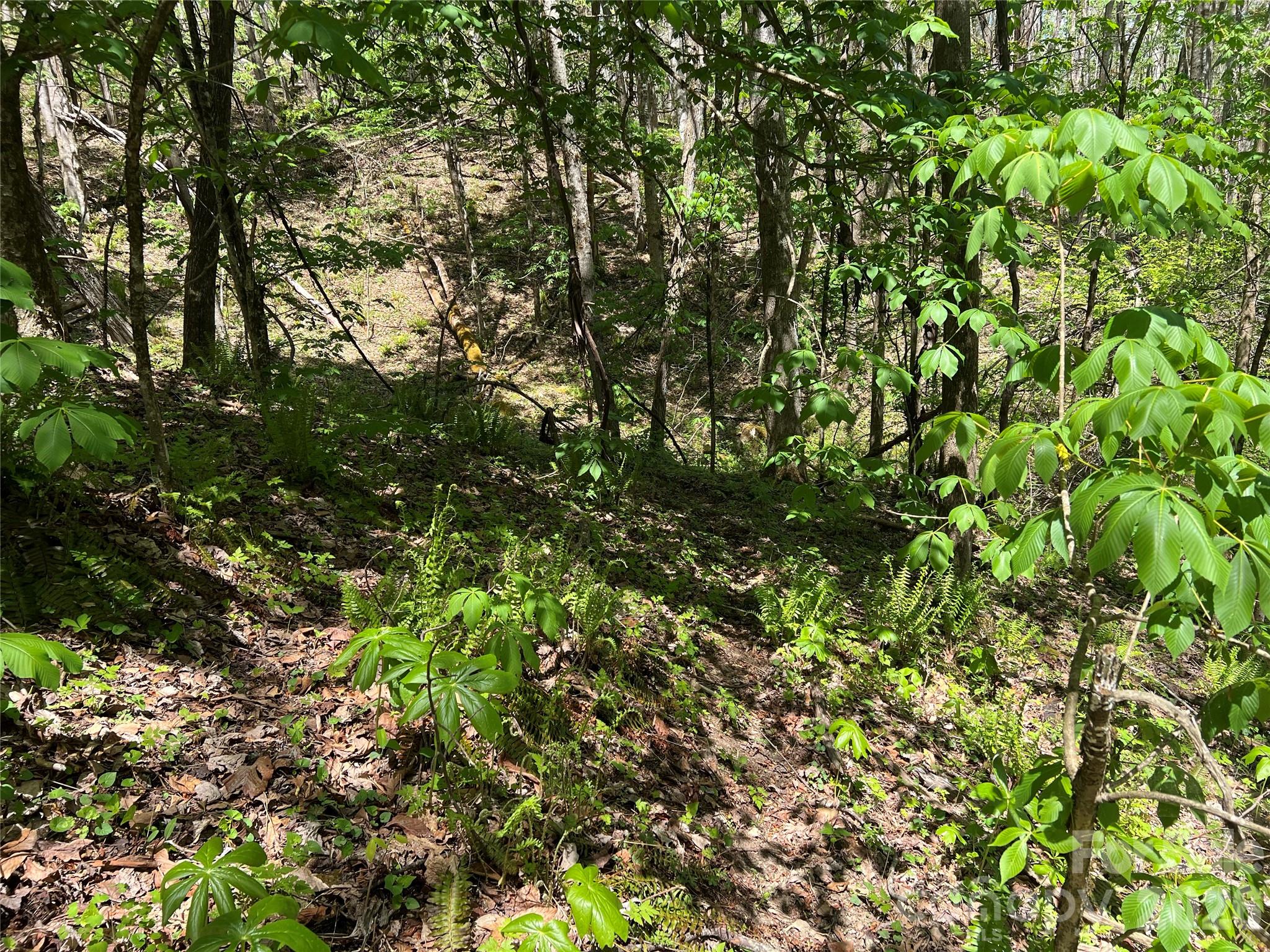 Lot#34 Buckeye Creek Road, Unit 34 Elk Park, NC 28622 - Photo 11 of 23