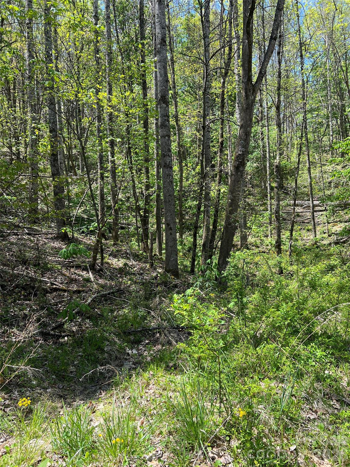 Lot#34 Buckeye Creek Road, Unit 34 Elk Park, NC 28622 - Photo 16 of 23