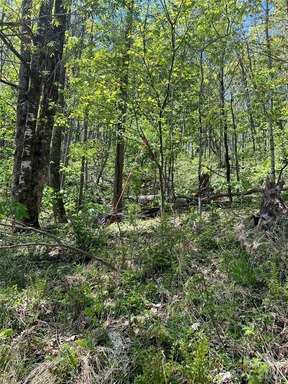 Lot#34 Buckeye Creek Road, Unit 34 Elk Park, NC 28622 - Photo 2 of 23