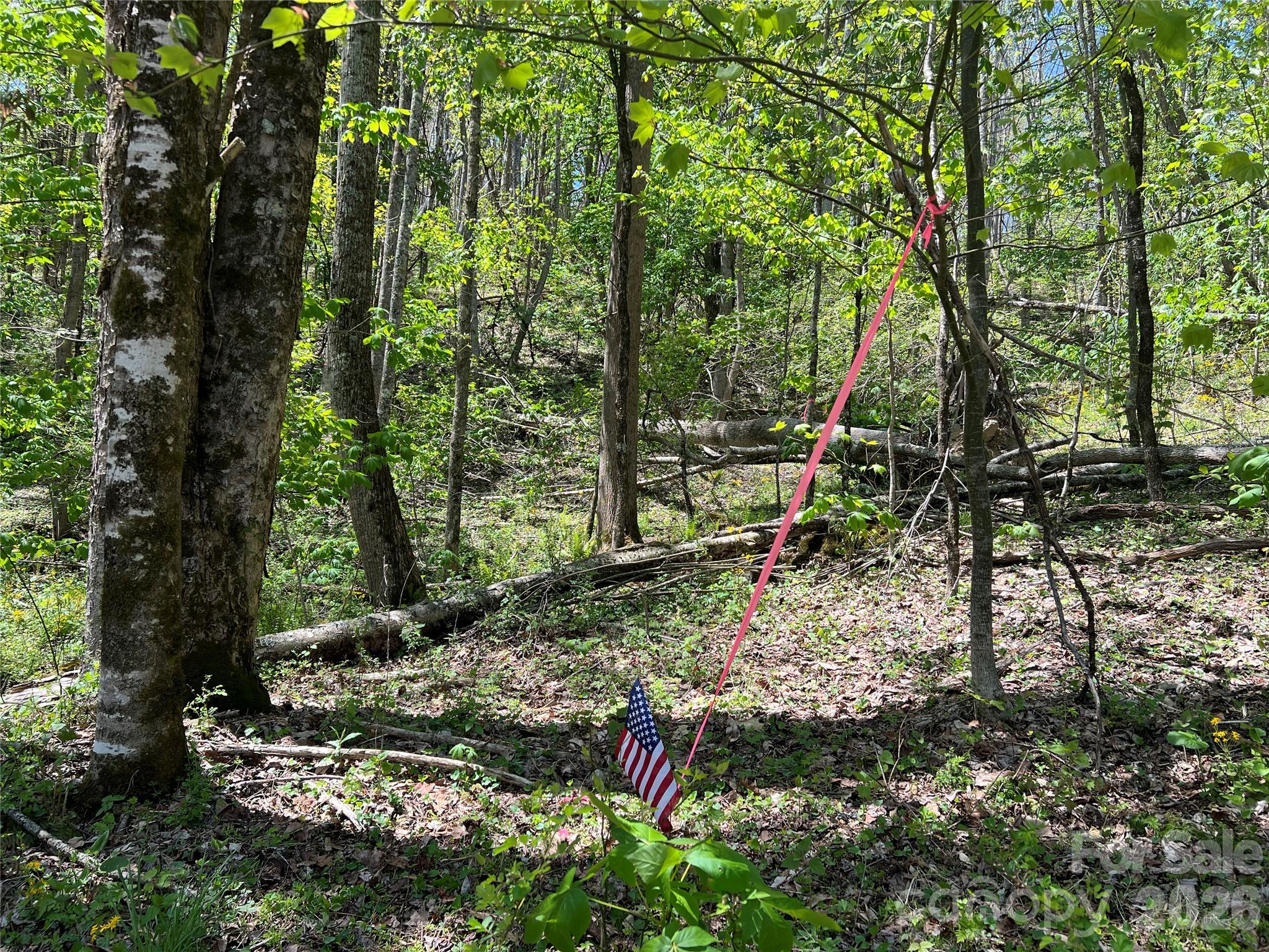 Lot#34 Buckeye Creek Road, Unit 34 Elk Park, NC 28622 - Photo 3 of 23
