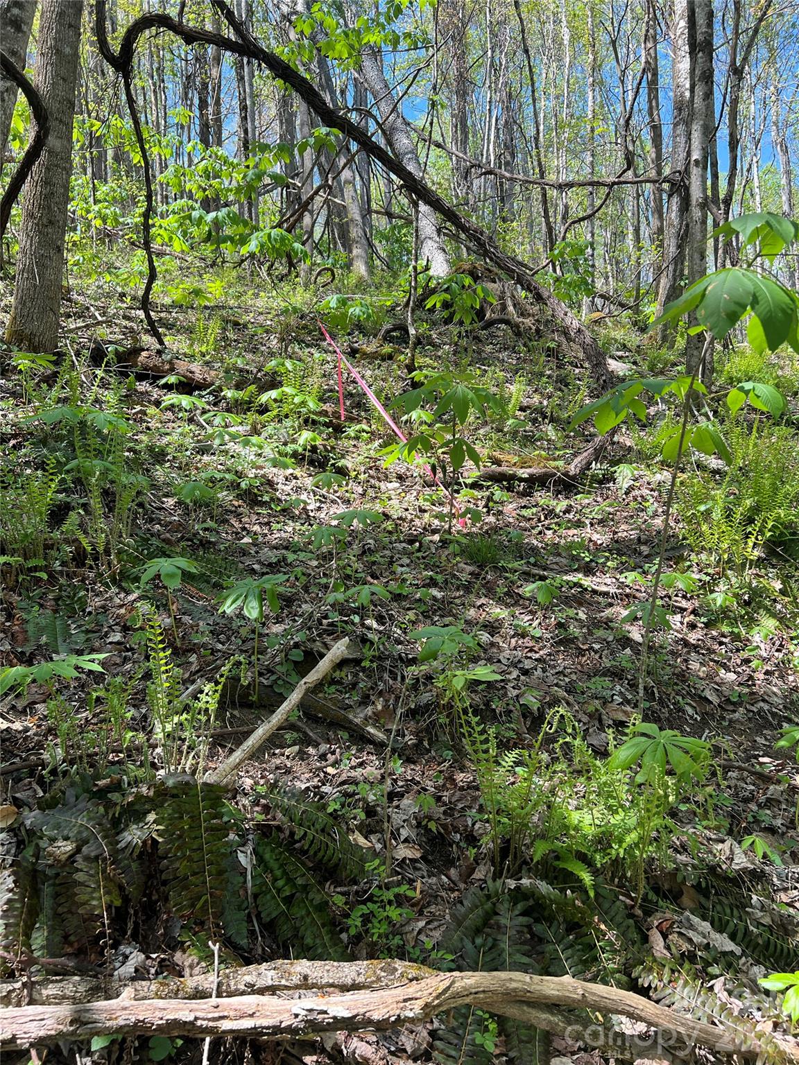 Lot#34 Buckeye Creek Road, Unit 34 Elk Park, NC 28622 - Photo 8 of 23