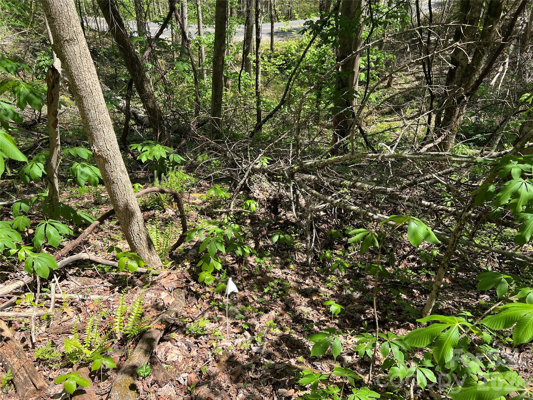 Lot#34 Buckeye Creek Road, Unit 34 Elk Park, NC 28622 - Photo 10 of 23