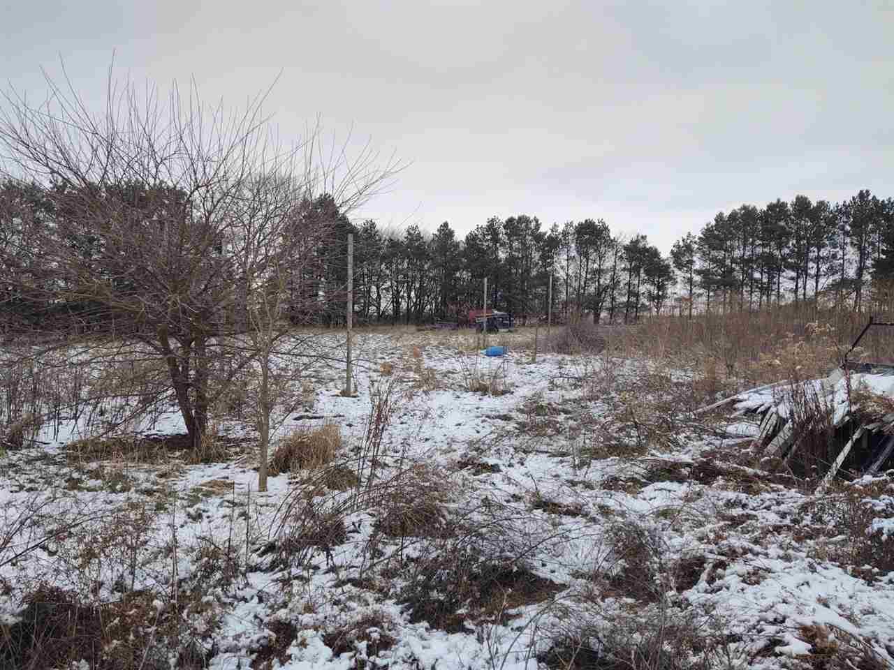 12455 Fish Hatchery Road Pecatonica, IL 61063 - Photo 6 of 32 a view of a dry yard with trees