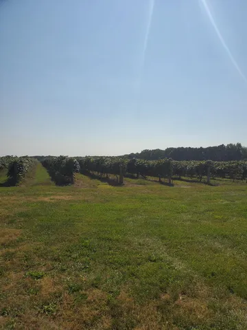 $499,900 | 374 Paw Paw Mi 49079, Paw Paw, MI 49079