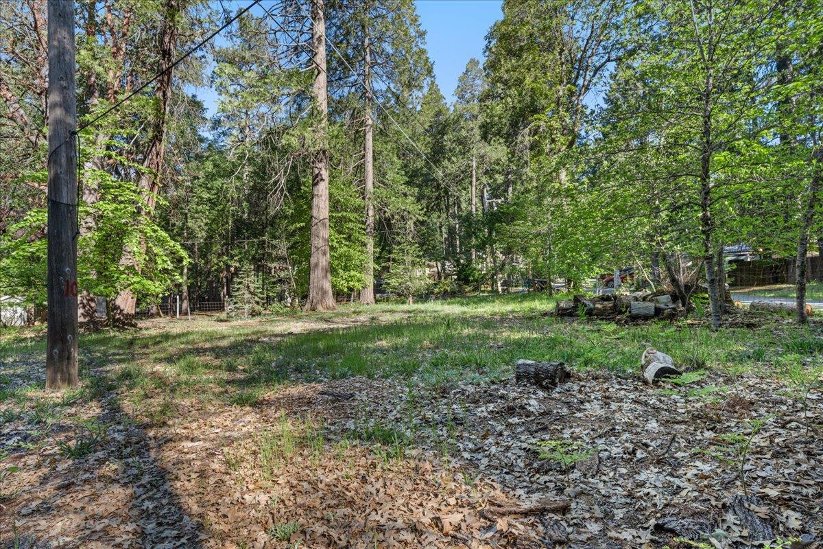 12501 Valley View Road Nevada City, CA 95959 - Photo 30 of 55