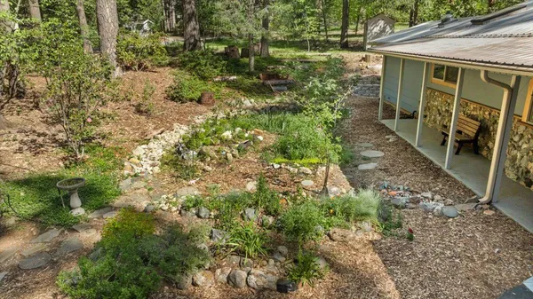 a view of a yard with plants and large trees