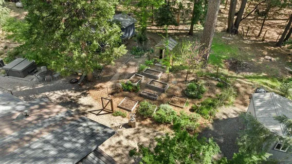 a view of a backyard with pathway