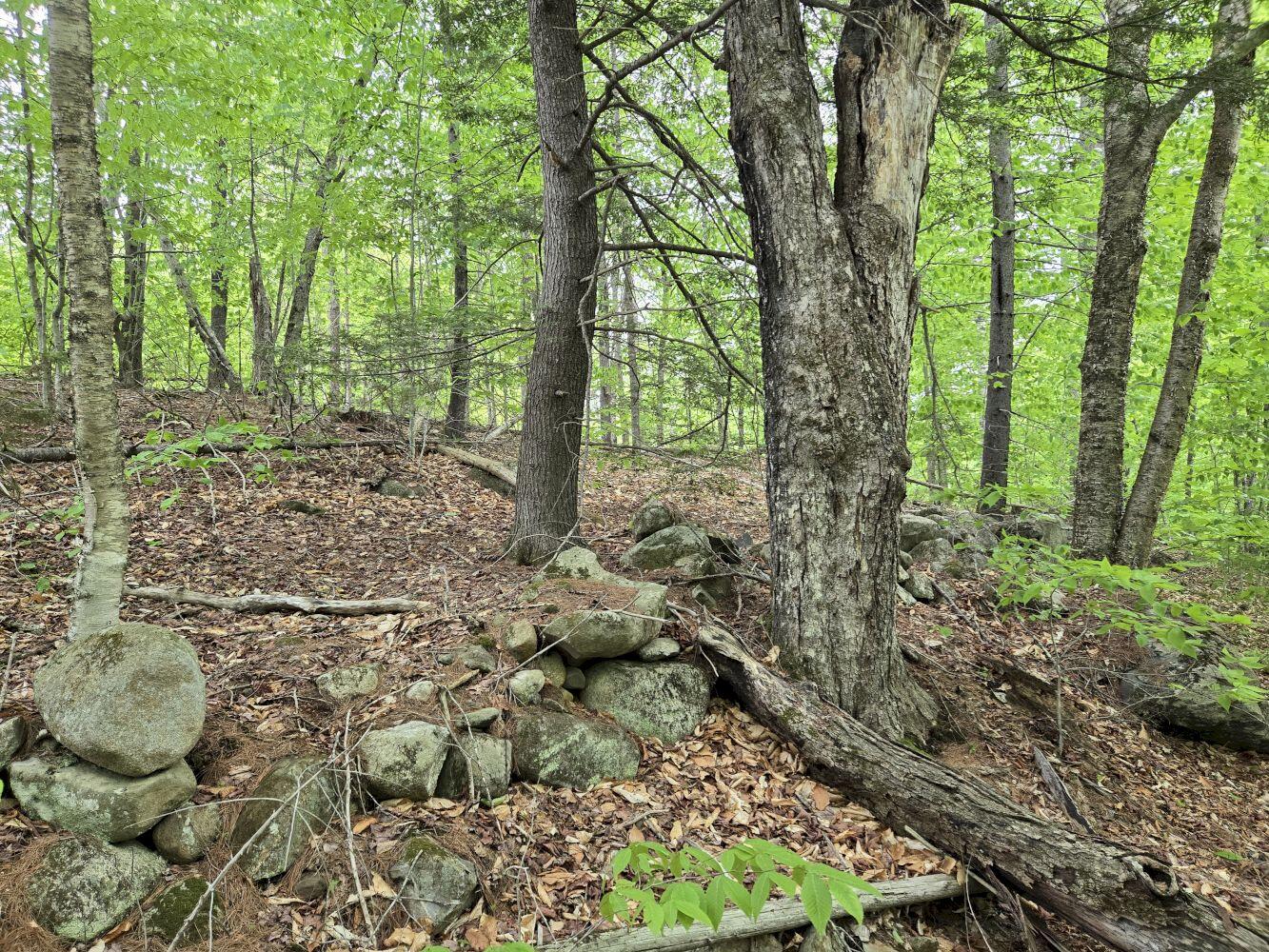 Lot 10 Staples Pond Road Temple, ME 04984 - Photo 6 of 56 20260528_130016_result