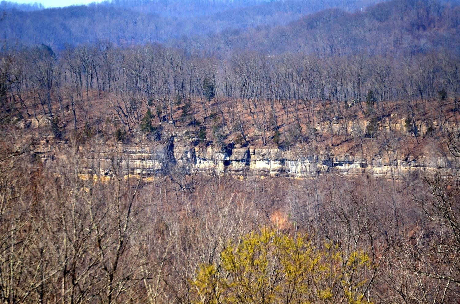 999999 Redbud Road Irvine, KY 40336 - Photo 5 of 14 Mother Nature Fortress!