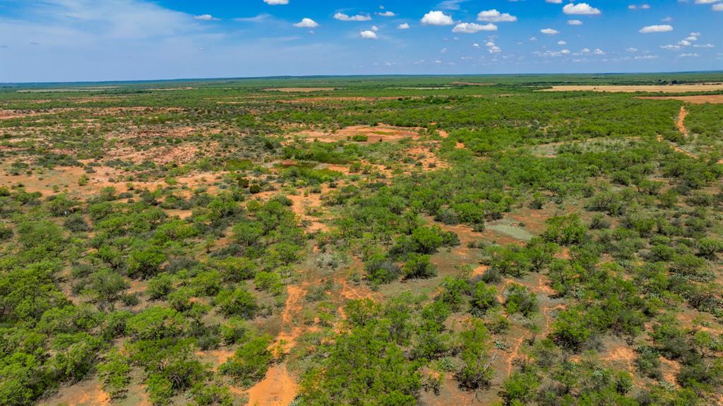 179 County Road Trent, TX 79561 - Photo 24 of 28