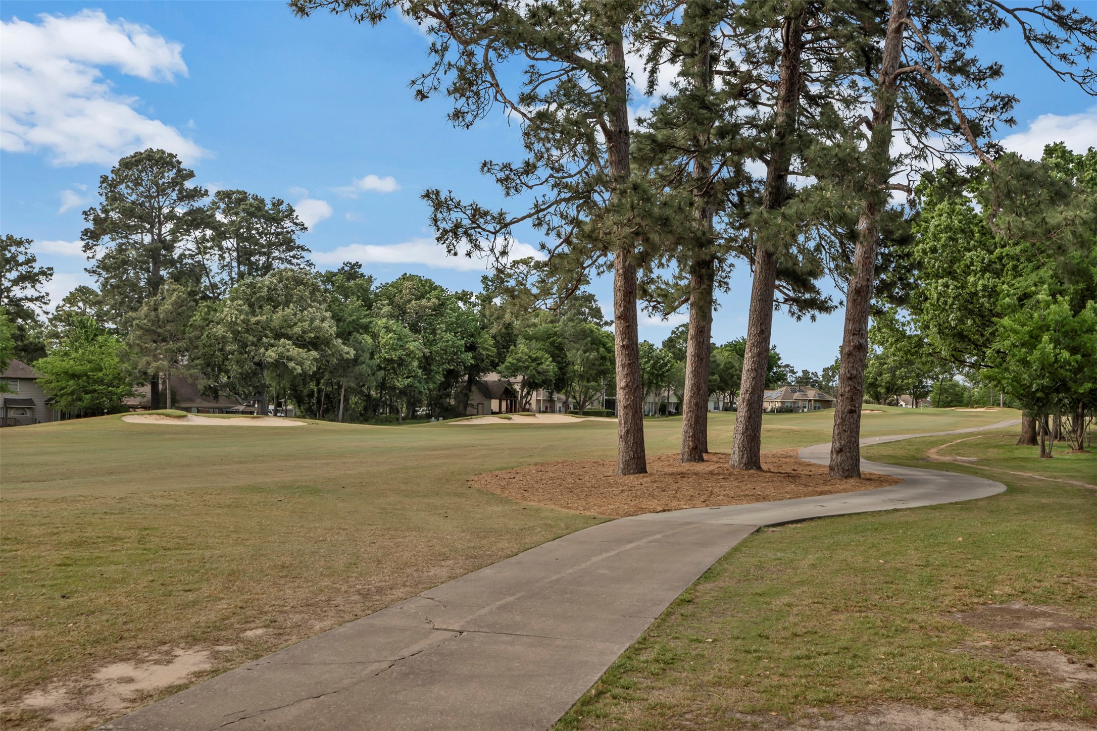 13151 Walden Road, Unit 142 Montgomery, TX 77356 - Photo 31 of 50 a view of a park with large trees