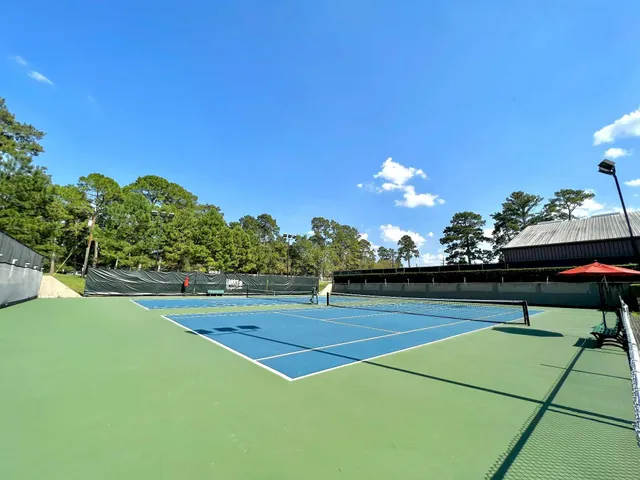 a view of a backyard and floor to ceiling window