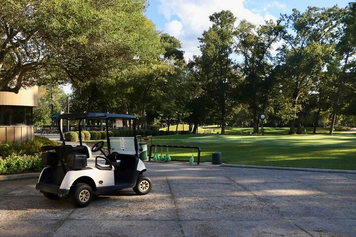 13151 Walden Road, Unit 142 Montgomery, TX 77356 - Photo 39 of 50 a car parked in front of a yard with large trees