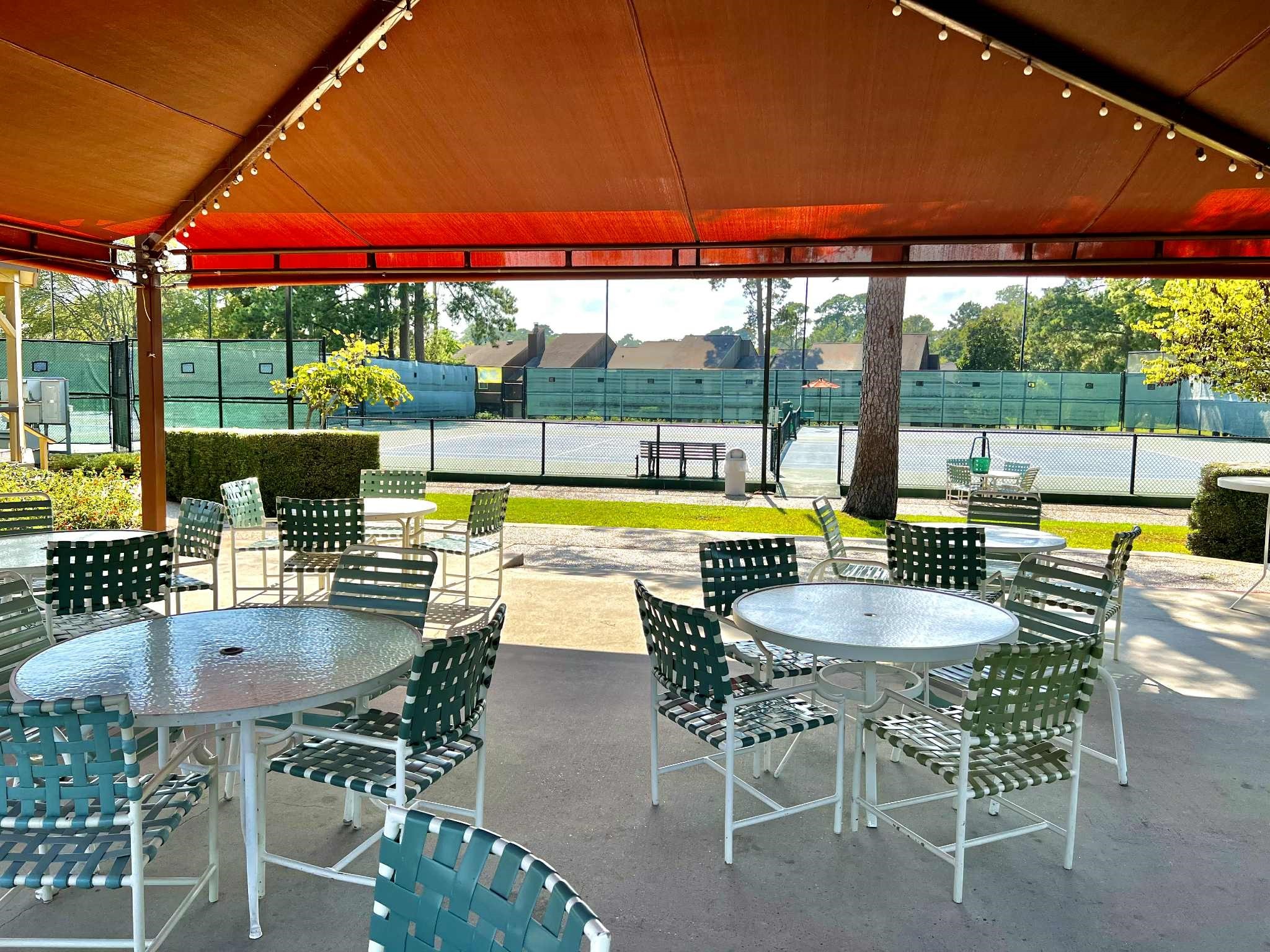 13151 Walden Road, Unit 142 Montgomery, TX 77356 - Photo 42 of 50 a view of backyard with swimming pool and outdoor seating