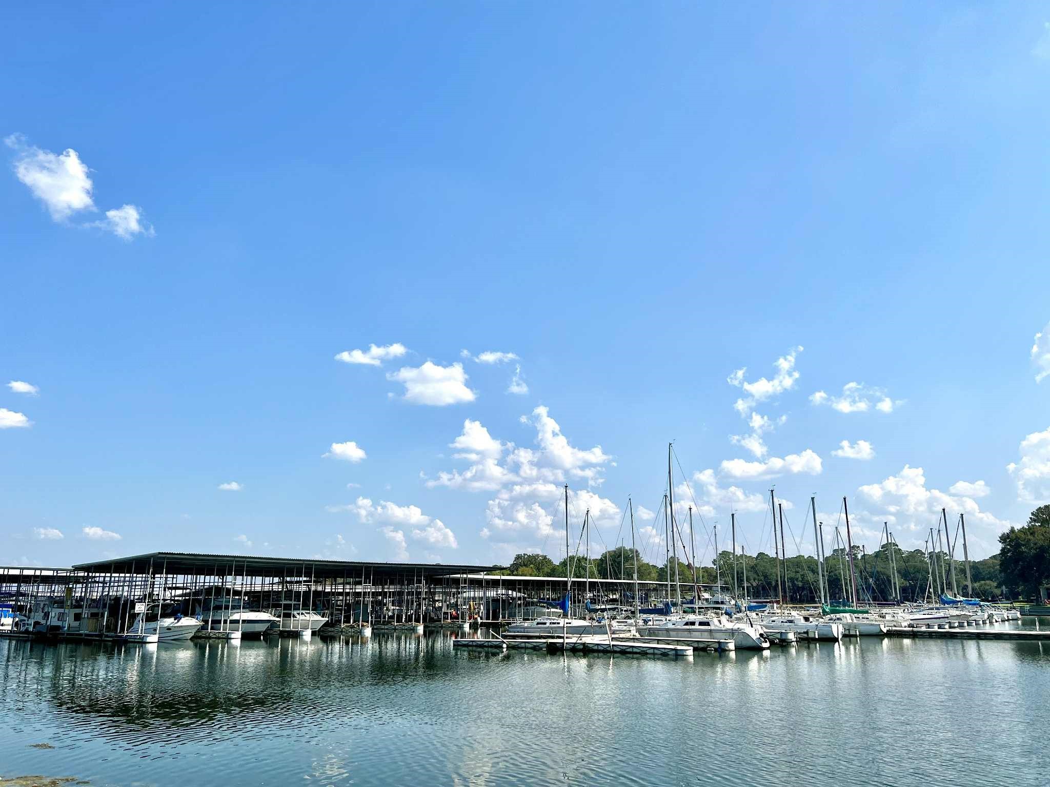 13151 Walden Road, Unit 142 Montgomery, TX 77356 - Photo 46 of 50 a view of a lake in middle of forest