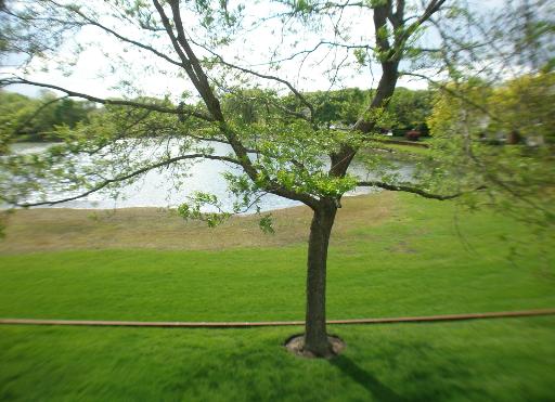 -n212 Windermere Road, Unit 2808 Winfield, IL 60190 - Photo 8 of 9 a view of an outdoor space and a yard