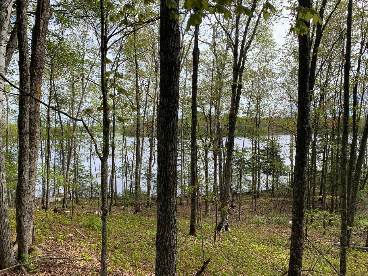 7901 East Bay Road Presque Isle, WI 54557 - Photo 8 of 27 Gallery Image 8