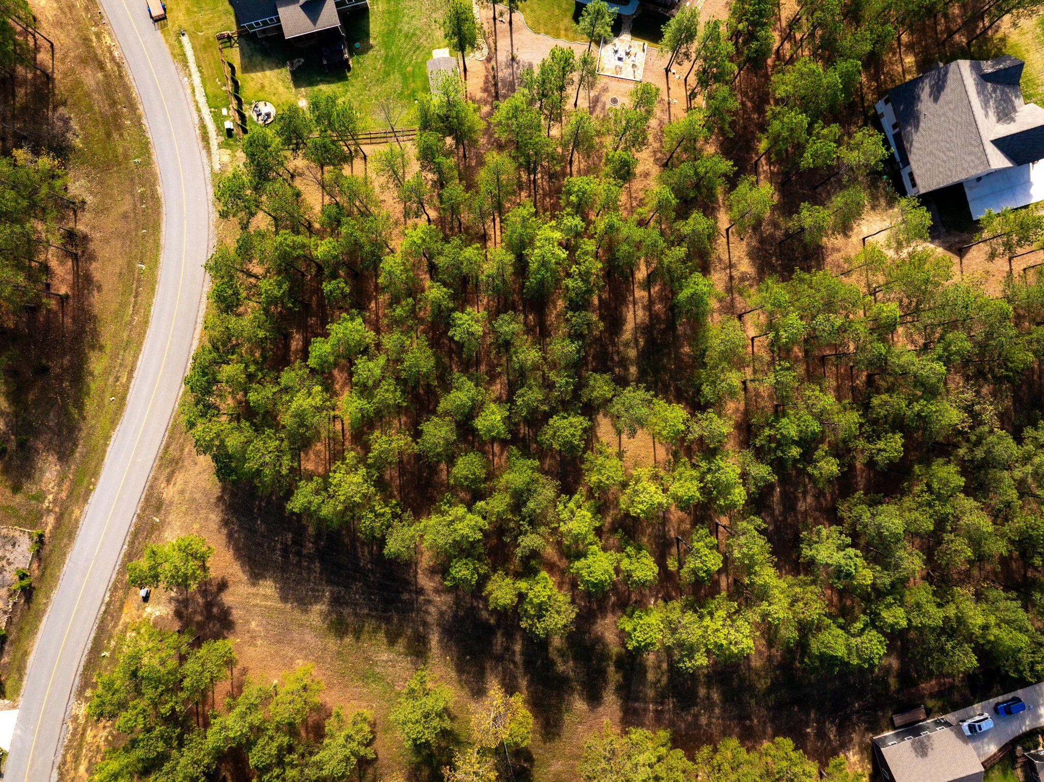0 Deer Ridge Point Jasper, TN 37347 - Photo 11 of 32 11-web-or-mls-DJI_20241113113115_0219_D-