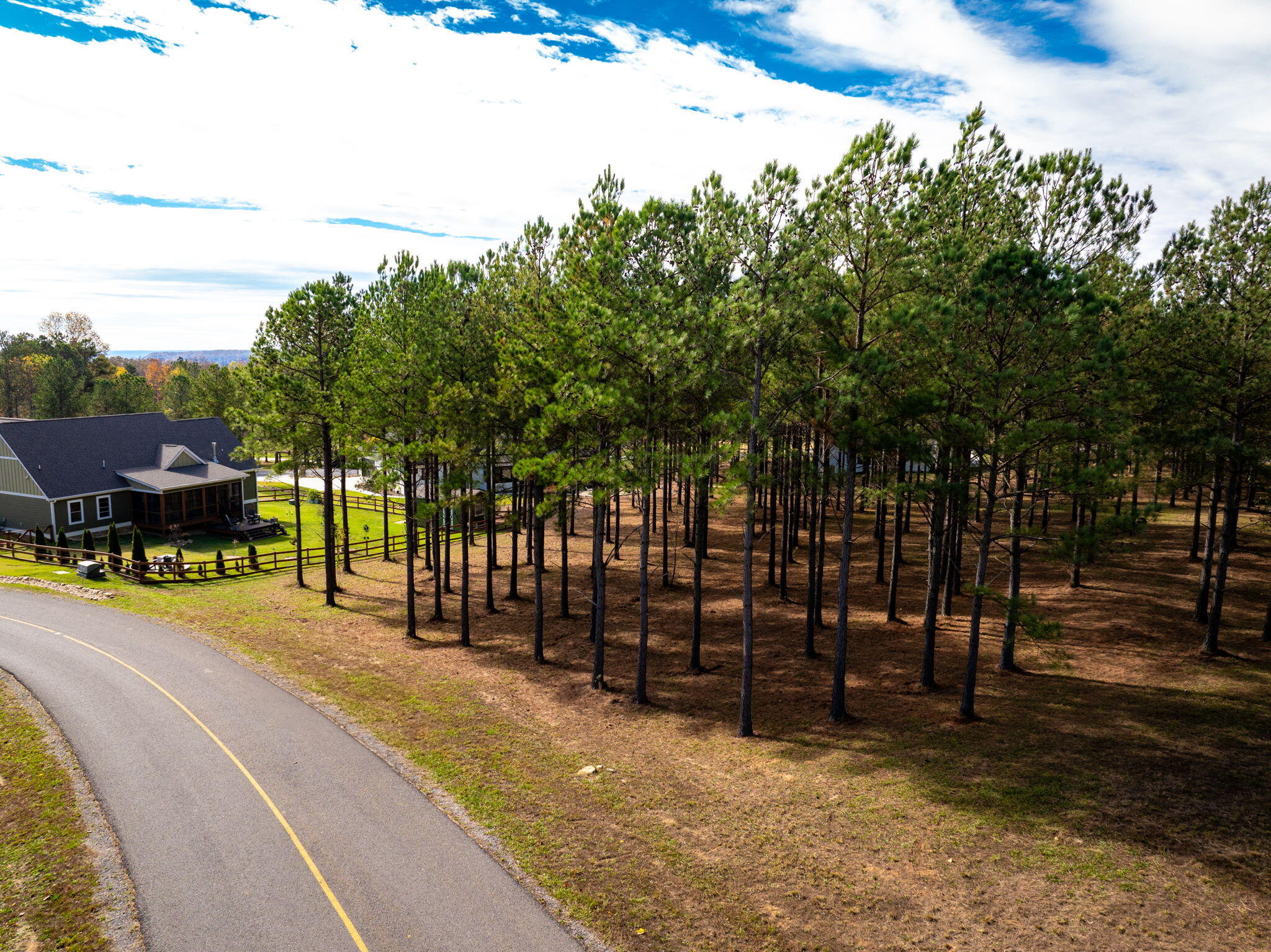 0 Deer Ridge Point Jasper, TN 37347 - Photo 12 of 32 12-web-or-mls-DJI_20241113113153_0220_D-