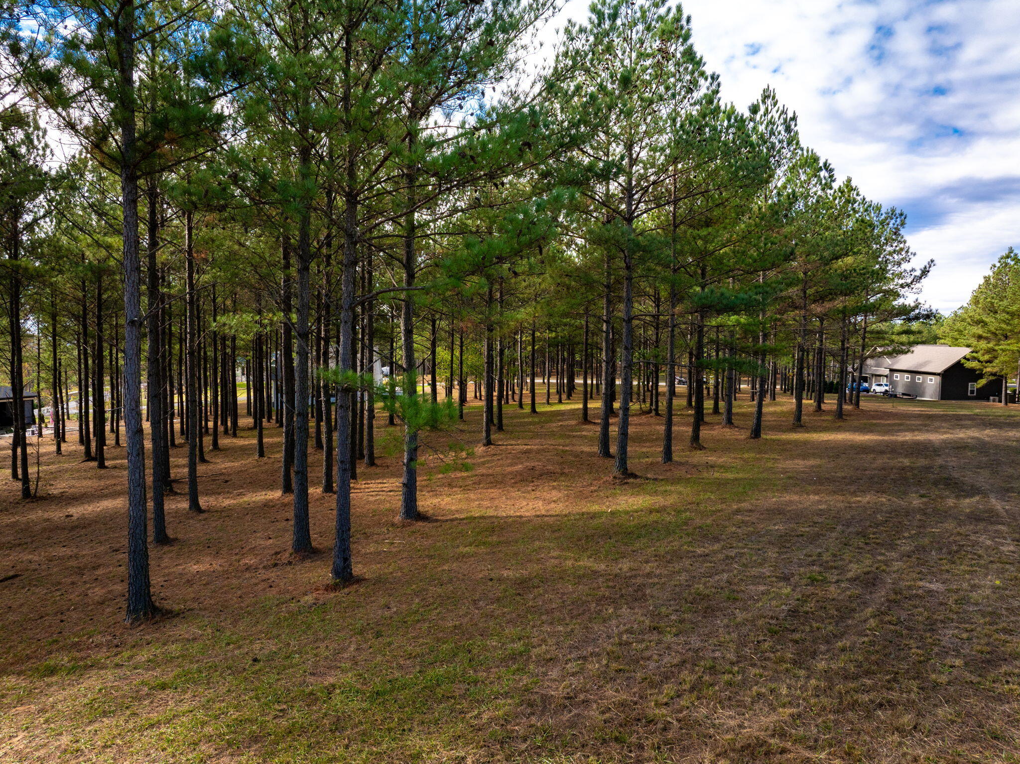 0 Deer Ridge Point Jasper, TN 37347 - Photo 14 of 32 14-web-or-mls-DJI_20241113113230_0222_D-